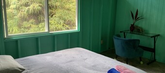 Simple convenience studio in tropical forestG4