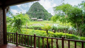 Vista desde un balcón con baranda de madera, con un jardín exuberante lleno de plantas diversas y una estructura de bambú al fondo.