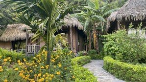 Un sendero conduce a cabañas de techo de paja rodeadas de exuberante vegetación y plantas en flor.