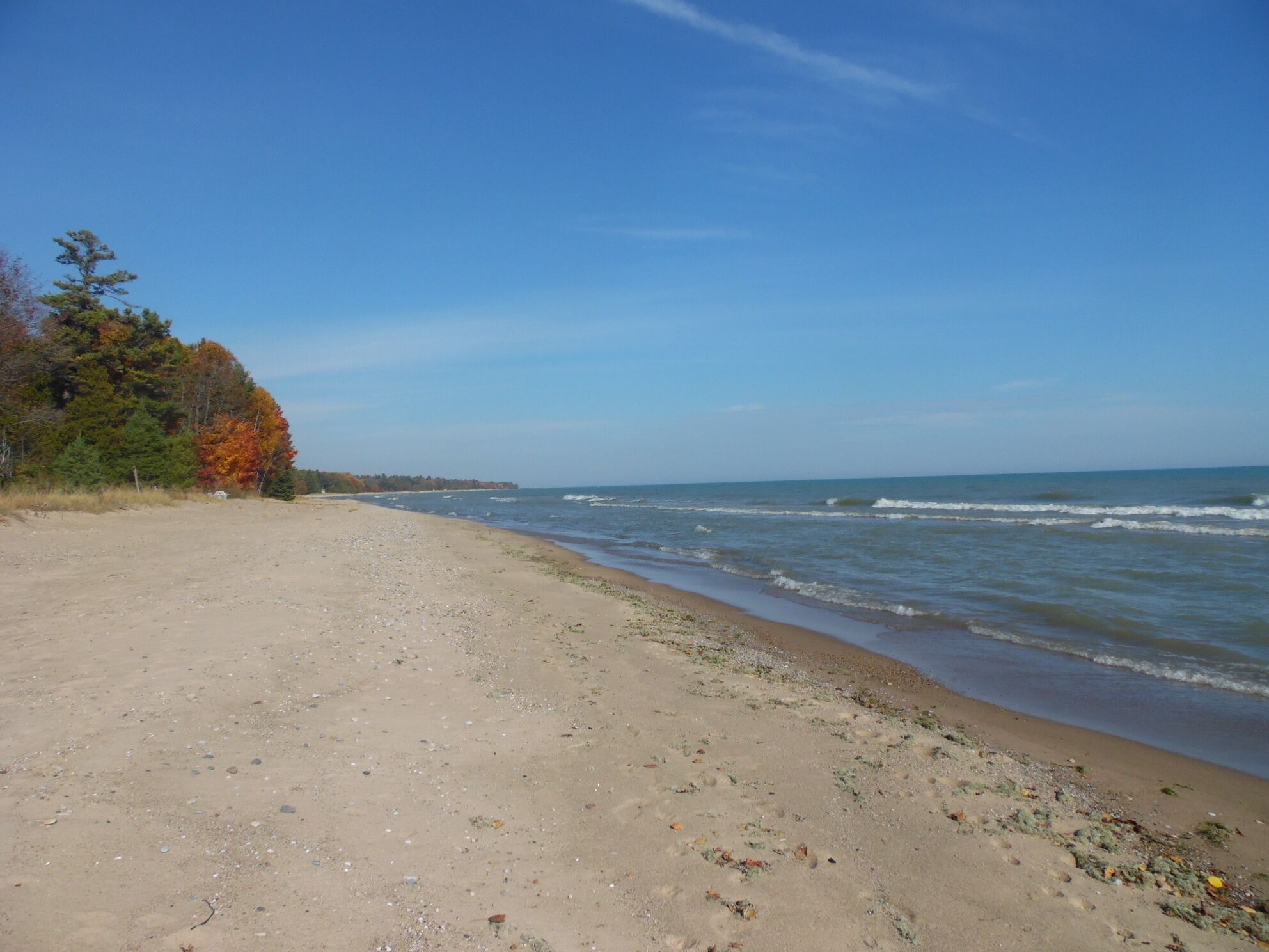Make your memories here on Lake Huron! Perfect for Families