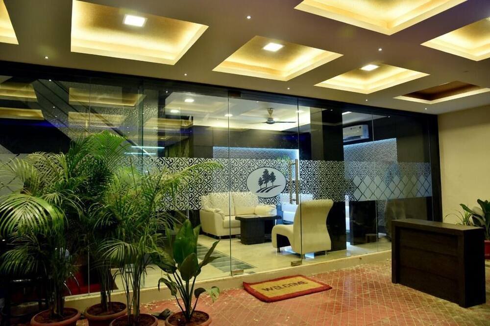 Hotel Pine Tree
