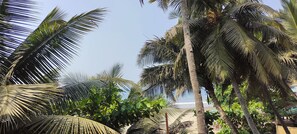 Tent - Est Hem Guesthouse Arambol (Arambol)