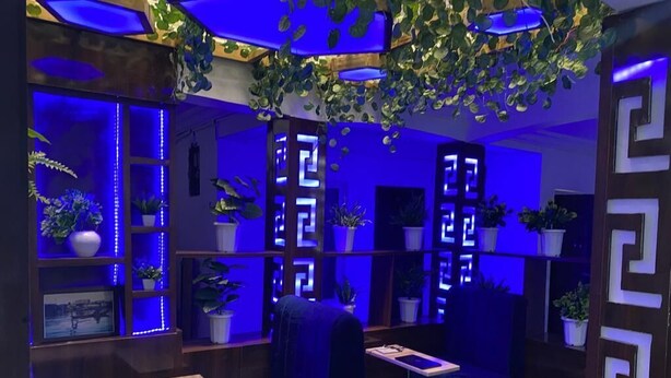 Ein Zimmer mit blauem Ambiente, ausgestattet mit einer Couch, einem kleinen Tisch und Regalen mit Topfpflanzen.