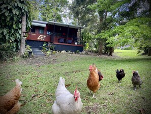 Railway Carriage | Terrace/patio