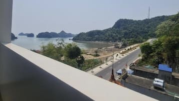 Vista desde la propiedad