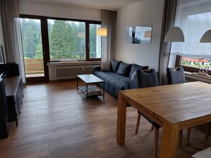 TV, DVD player, books, music library