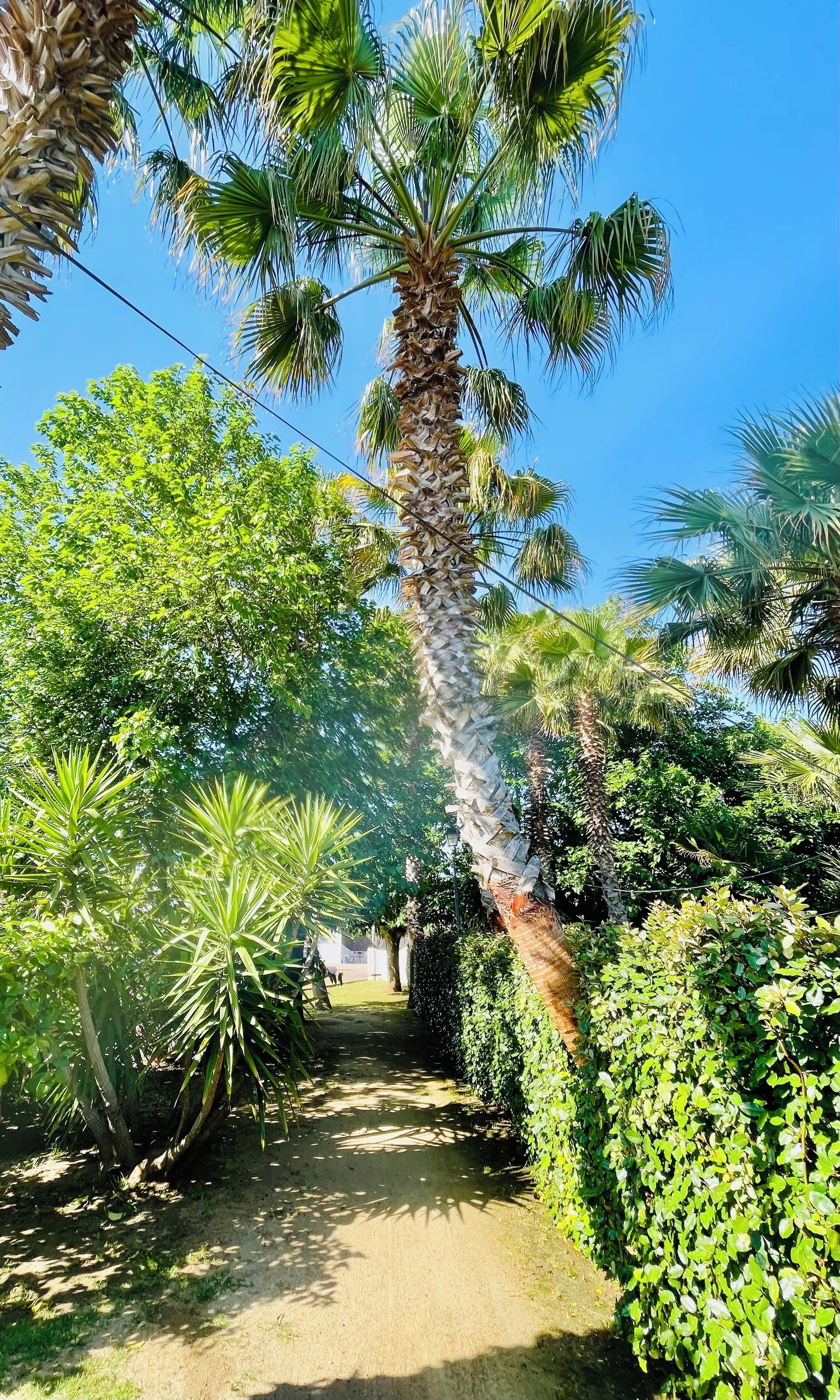 Jardines del alojamiento