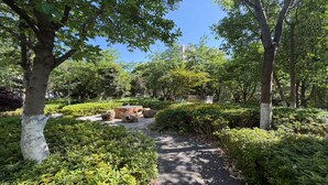 A pathway through a park with trees and shrubs. - Holiday Inn Express Kunming Panlong by IHG (Kunming)