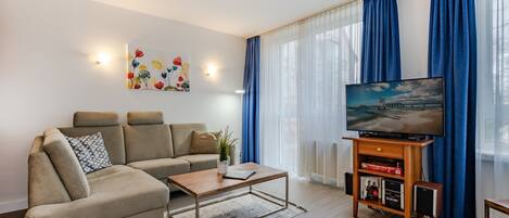 تلفزيون، مشغل دي في دي