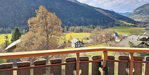 Property grounds - Spacious apartment in La Chapelle d'Abondance, pets allowed (La Chapelle-d'Abondance)