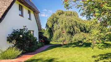 Een wit huis met rieten dak, een geplaveid pad en weelderig groen.