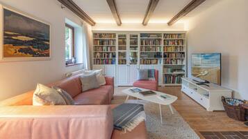 TV, fireplace, books, stereo