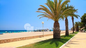 A beachside walkway with palm trees, a clear blue sky, and a view of the sea. - Ground floor first sealine 009 UHC Los Flamencos (Miami Playa)
