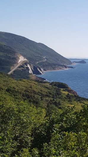 A coastal road winding through a mountainous area with dense greenery and a view of the ocean.
