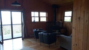 Fireplace, books