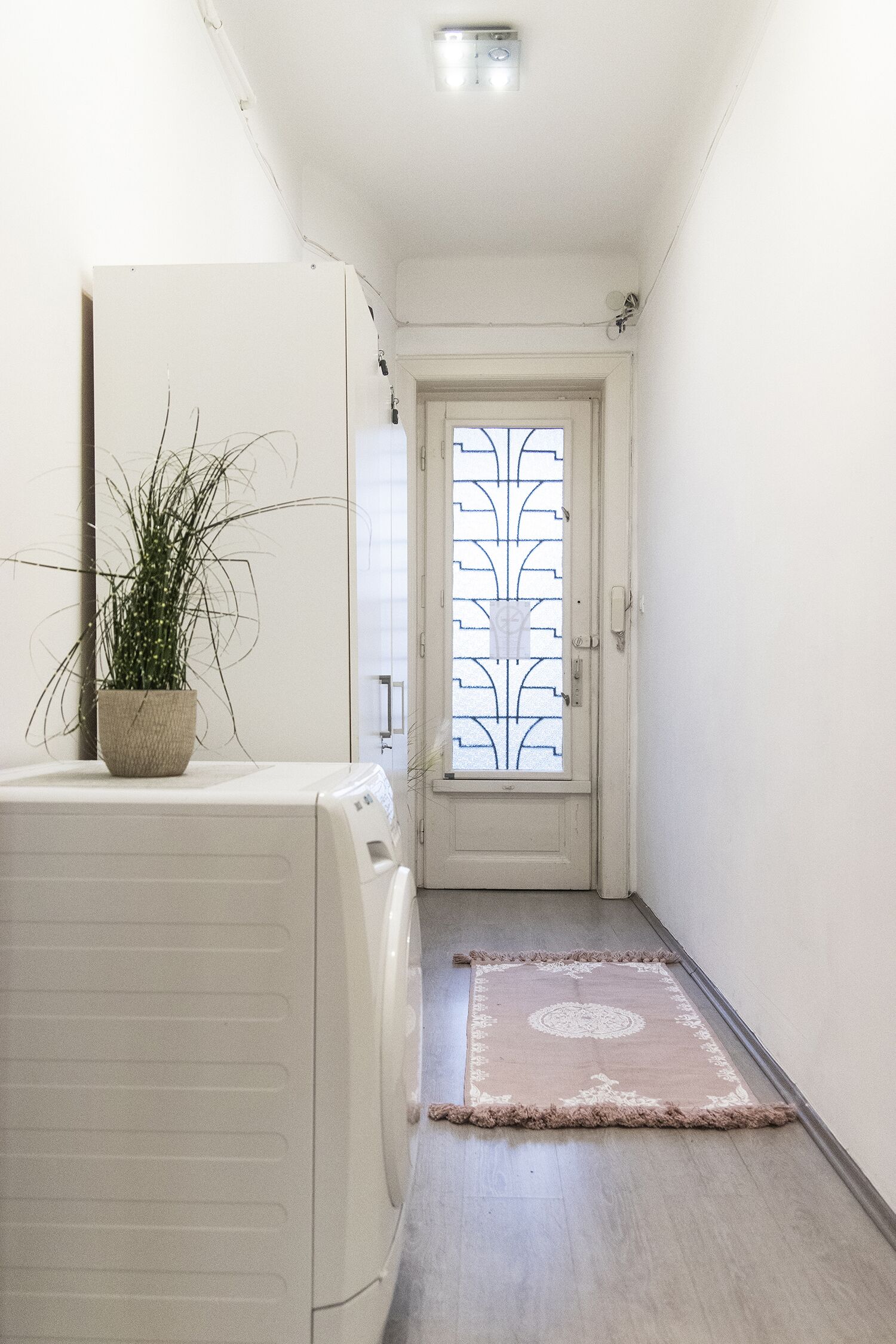 Passadís amb un aparell blanc, una planta en test, una catifes amb disseny i una porta amb un panell de vidre decoratiu.