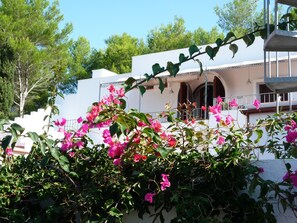 Exterior detail - Puglia sea view Villa Morocco very near Salento beaches:  Apartment Sydney (Torre Pali)