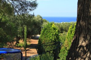 Property grounds - Puglia sea view Villa Morocco very near Salento beaches:  Apartment Sydney (Torre Pali)
