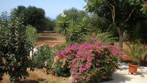 Un jardín con diversas plantas y un sendero.
