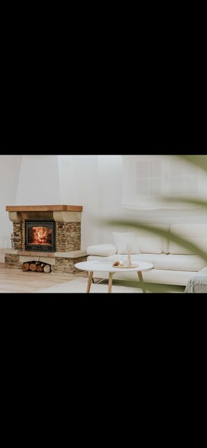 Smart TV, fireplace, books, stereo