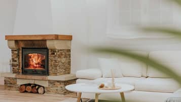 Smart TV, fireplace, books, stereo
