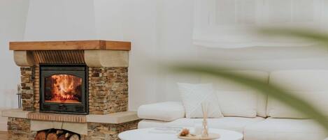 Smart TV, fireplace, books, stereo