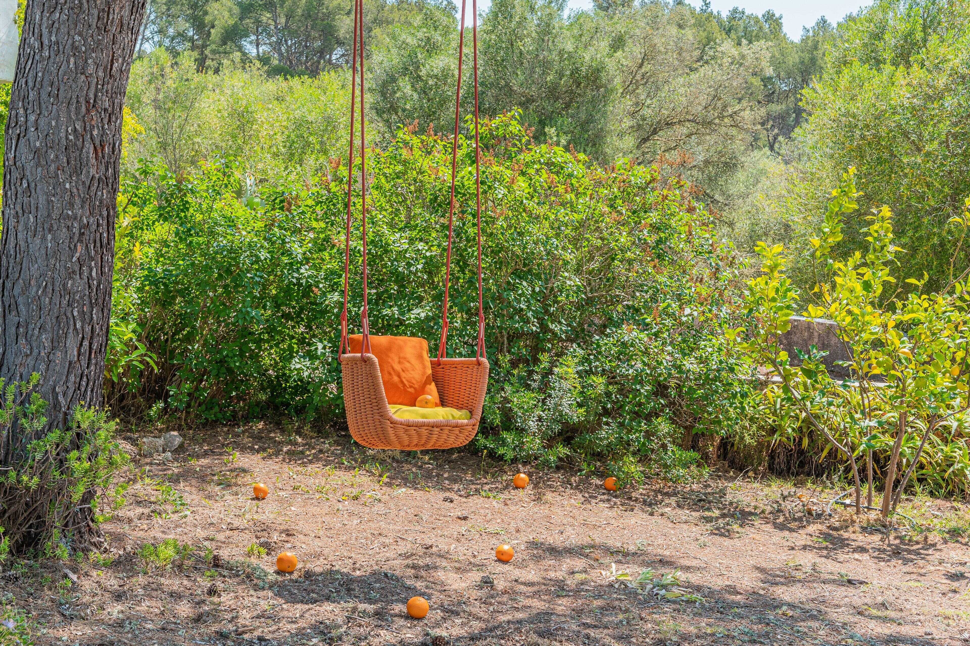 Área da propriedade