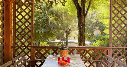 Caravan "Le Sorgenti - Mobile Home 46" with Mountain View, Private Garden & A/C