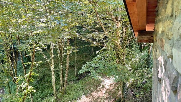 Ein Steinhaus mit Holzdach, umgeben von einem bewaldeten Gebiet mit einem Feldweg.