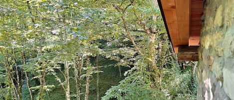 Terrain de lâhĂ©bergement