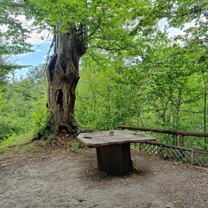 Outdoor dining - Caravan "Le Sorgenti - Bungalow In Sasso" with Mountain View & Private Garden (Palazzuolo Sul Senio)