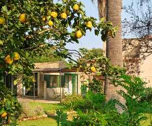 Exterior - Sa Sinia - Finca rural at the heart of Tramuntana (Valldemosa)