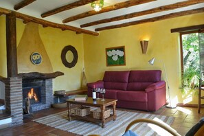 Smart TV, fireplace, books, music library