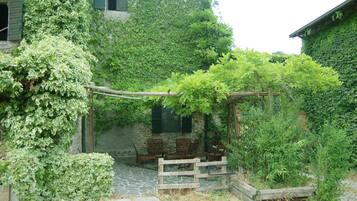 Terras