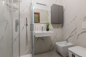 Shower, hair dryer, bidet, towels