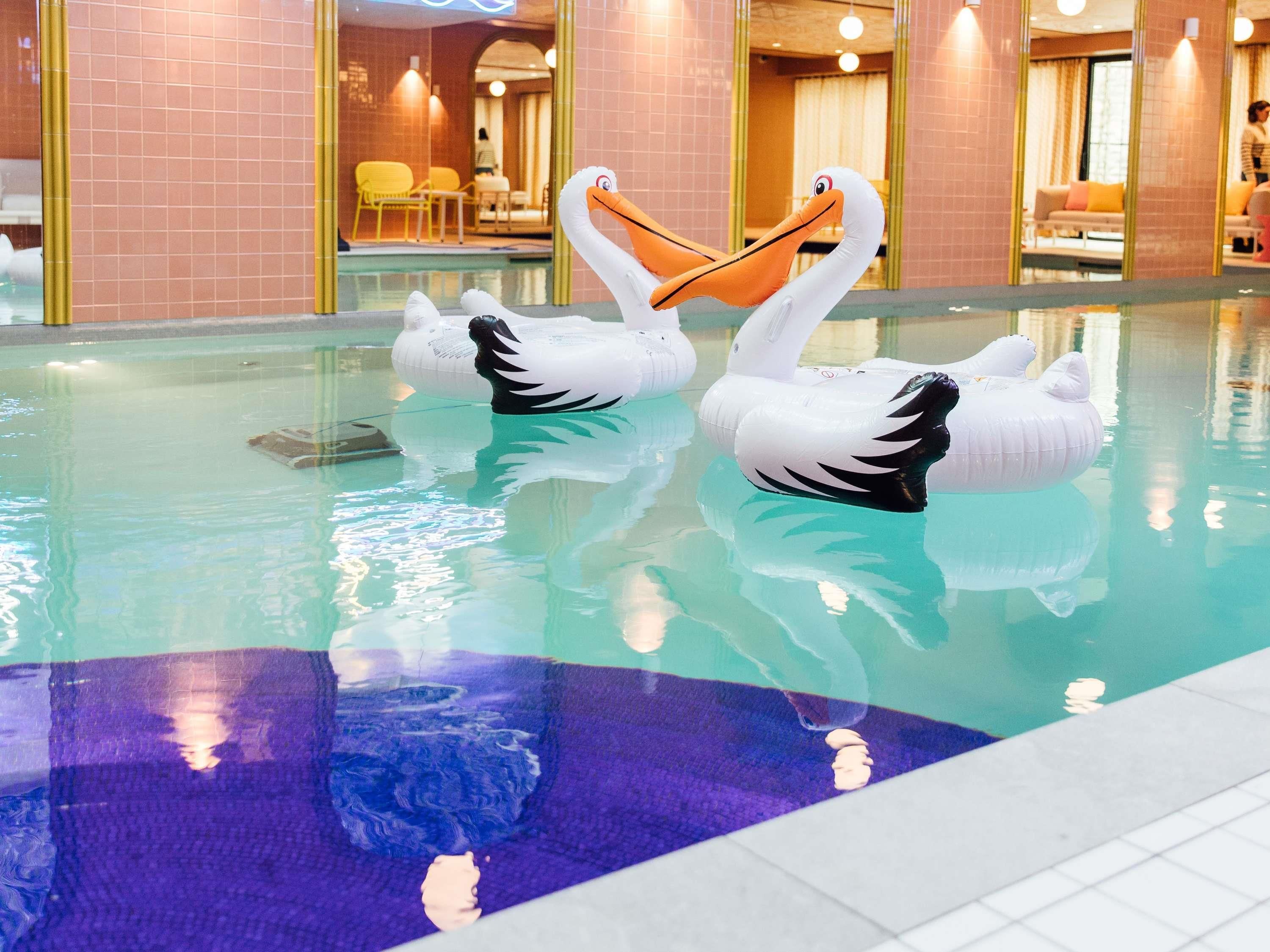 A swimming pool with two swan-shaped inflatable floats.