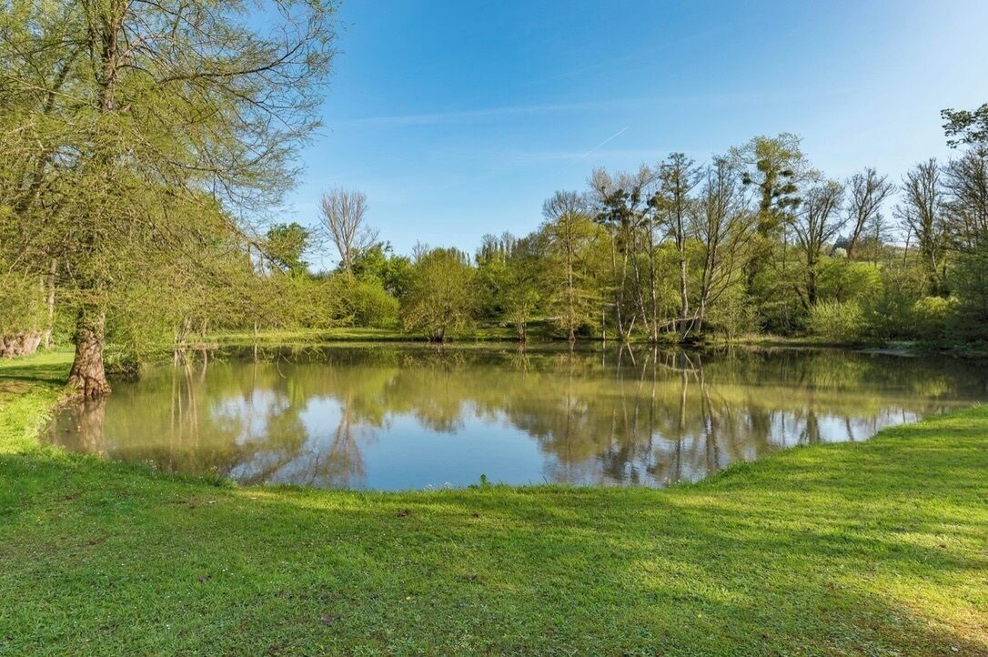 Een vredig vijver omgeven door weelderig groen en bomen.