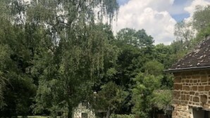 Ein Gebäude aus Stein mit einem Steinpfad, der davor führt, umgeben von üppigem Grün und Bäumen.