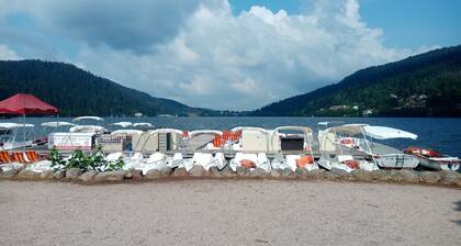 Le gĂźte des pigeons voyageurs