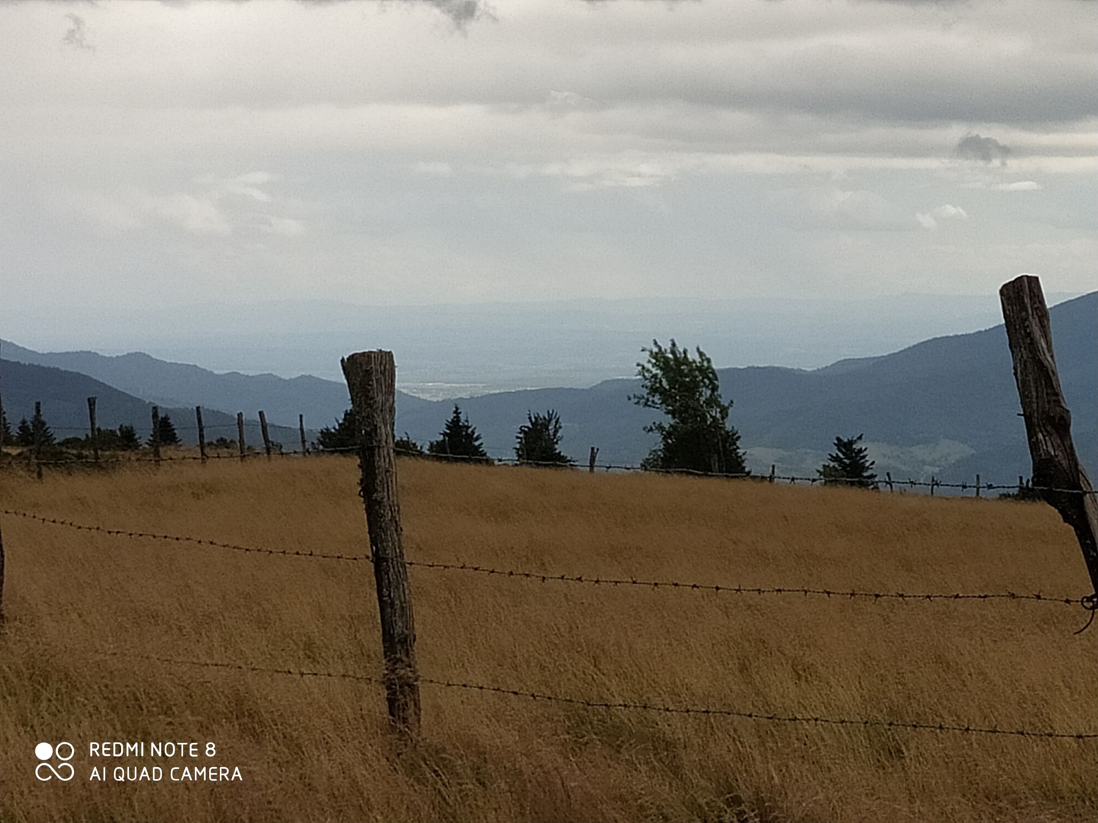 A rural landscape with a barbed wire fence, trees, and mountains in the distance.