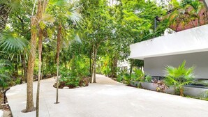 A pathway flanked by tall trees and lush greenery, leading to a modern building with a white facade. - 2BR Condo Beautiful Common Areas, Sleeps 6! (Akumal)