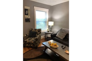 Televisión, chimenea y reproductor de DVD