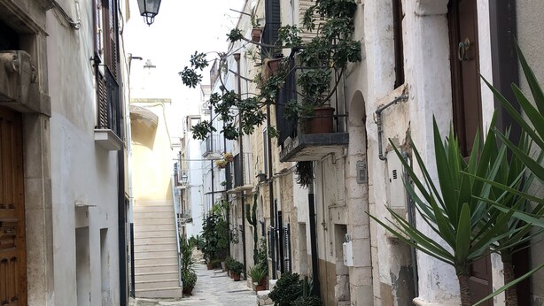 Una estrecha calle adoquinada bordeada por edificios históricos con balcones y macetas.