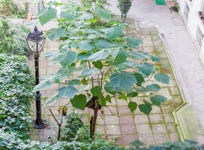 Courtyard view - Real Apartments Wesselényi IV. (Budapest)