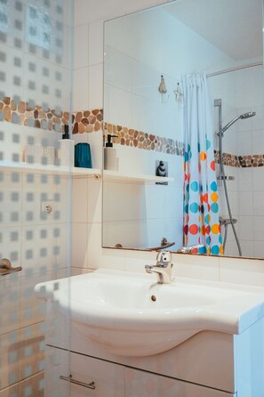 Ducha, secador de pelo y papel higiénico