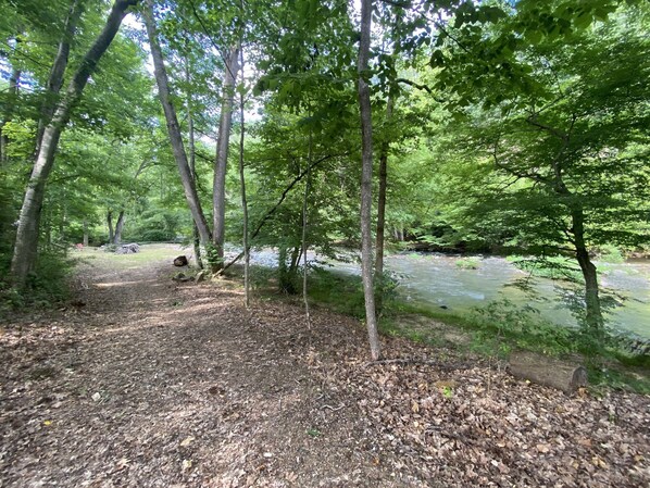 A forested area with a river, a dirt path, and a picnic table. - Spacious Mountain Farmhouse | Creek | Hot Tub | Fireplaces | In Town (Hot Springs)
