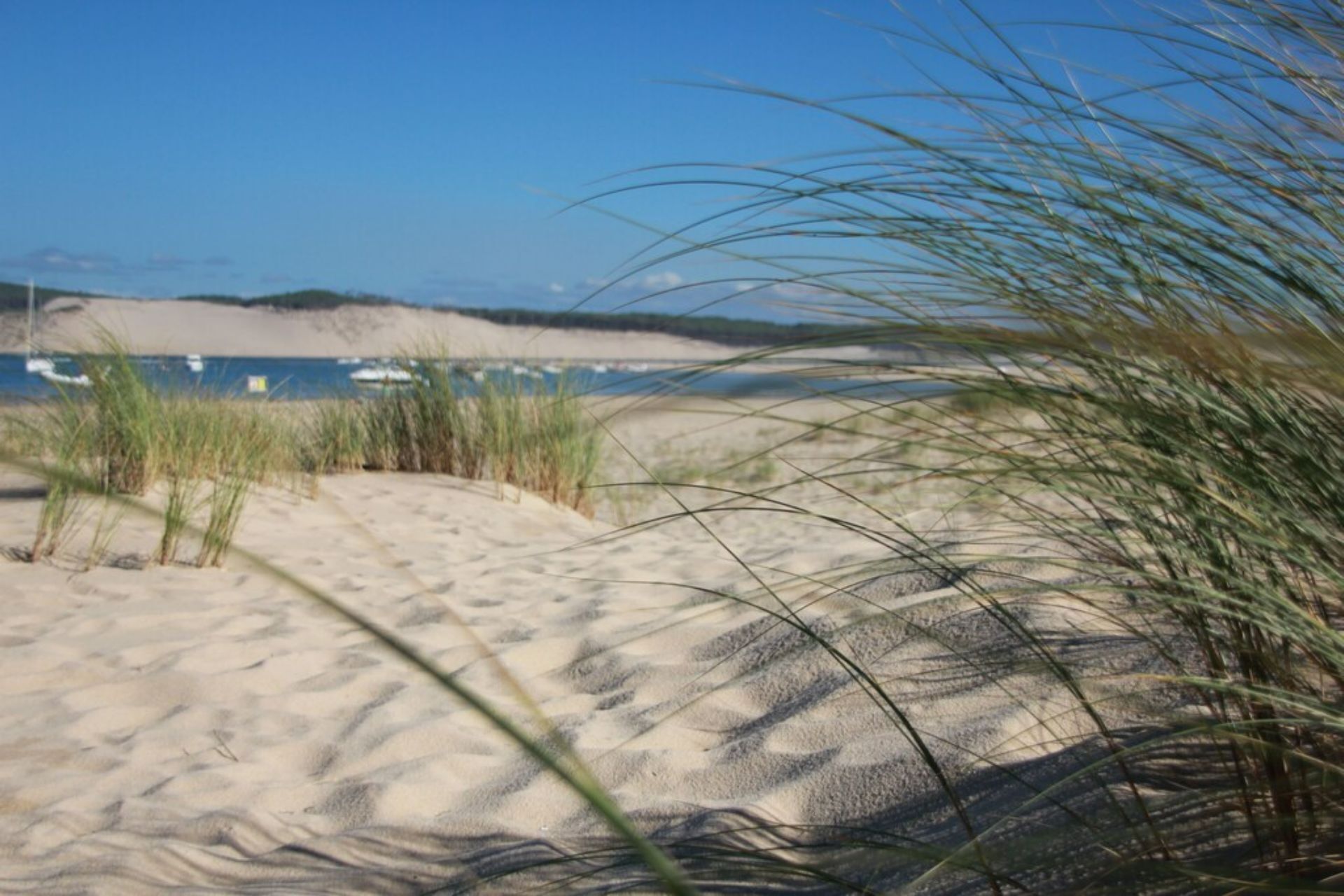 Plage, chaises longues