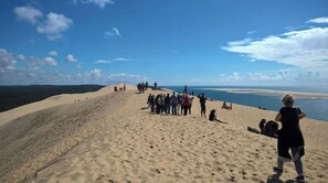 Un groupe de personnes se trouve sur une dune de sable, d’où elles dominent une plage et la mer.