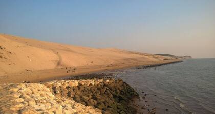 BALSAMO PLAGE 7 classified 3 * 50 m from EYRAC beach