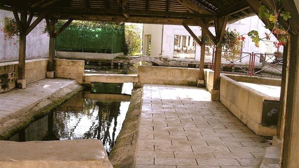 Un espace extérieur abrité avec un chemin en briques menant à un petit élément décoratif aquatique.